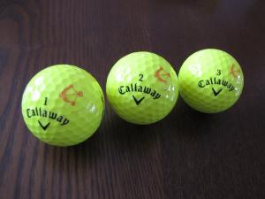 IMG_8755s.jpg