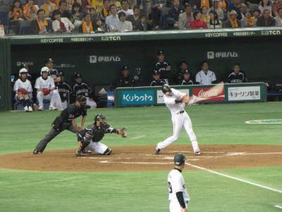 IMG_8849s.jpg