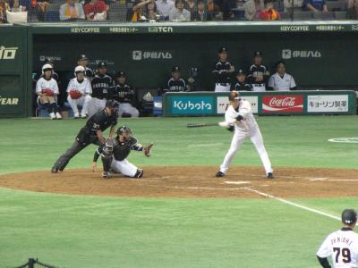 IMG_8871s.jpg