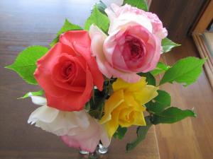 IMG_9060s.jpg