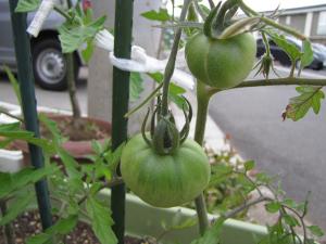 IMG_9073s.jpg