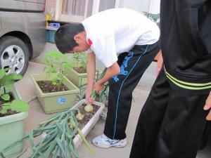 IMG_9093s.jpg