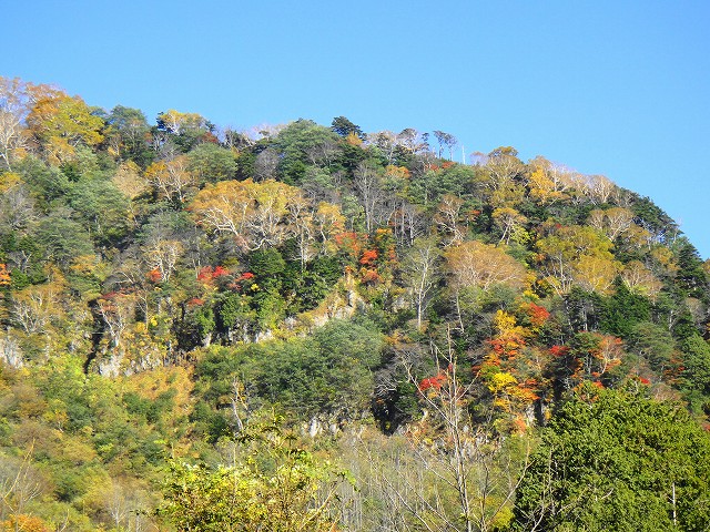 DSC005642 (1)