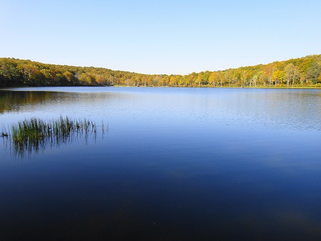 DSC005634 (1)