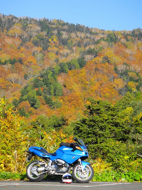 DSC005647 (1)