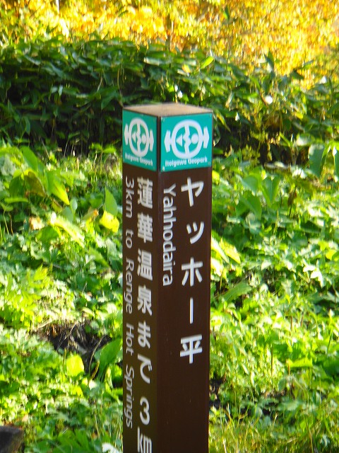 DSC005644 (1)