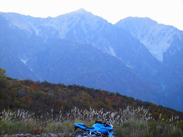 DSC005655 (1)