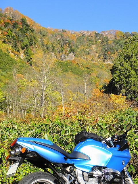 DSC005645 (1)