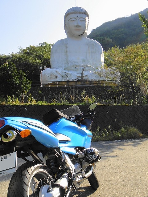 DSC005629 (1)