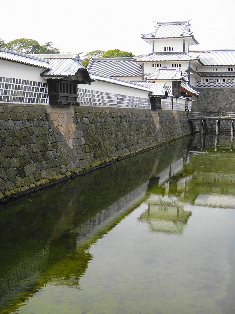 DSC005699 (1)