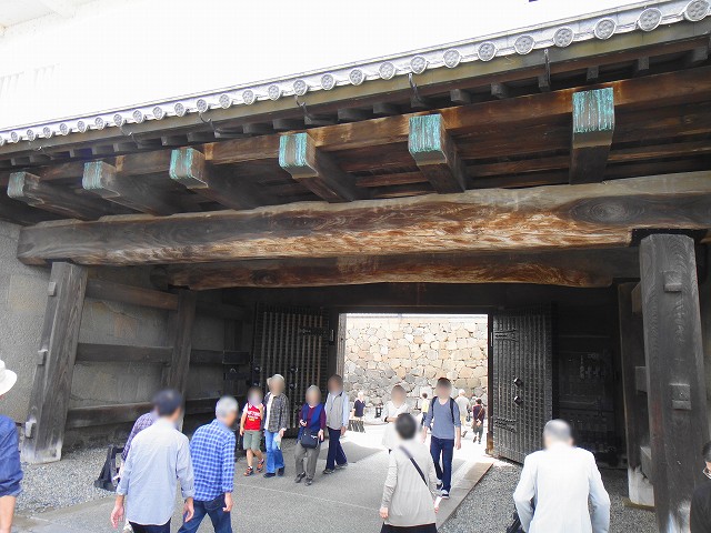 DSC005697 (1)