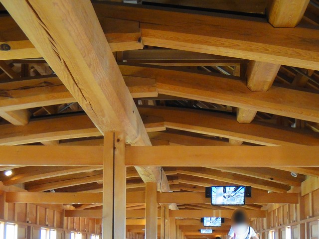 DSC005714 (2)