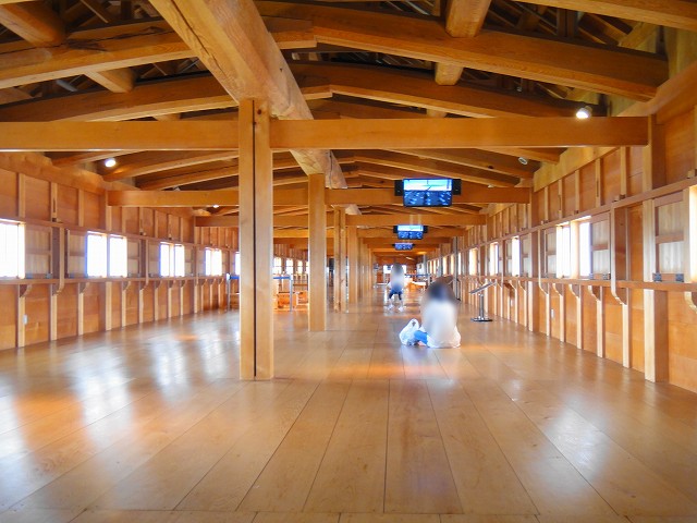 DSC005710 (1)