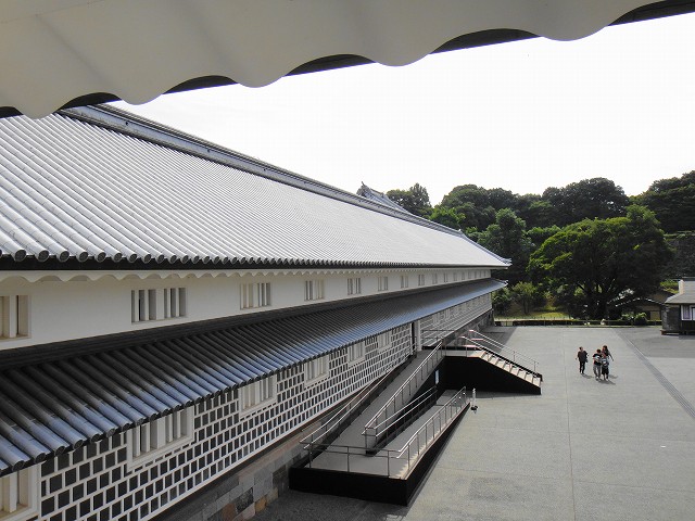 DSC005708 (1)