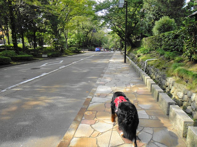 DSC005756 (1)