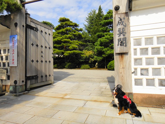 DSC005752 (1)