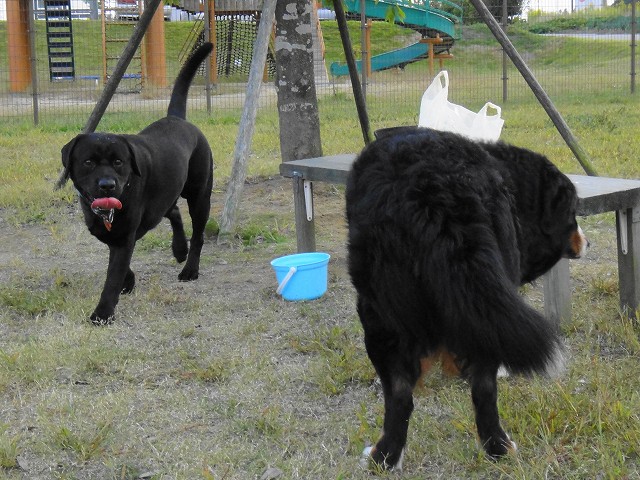 DSC005774 (1)