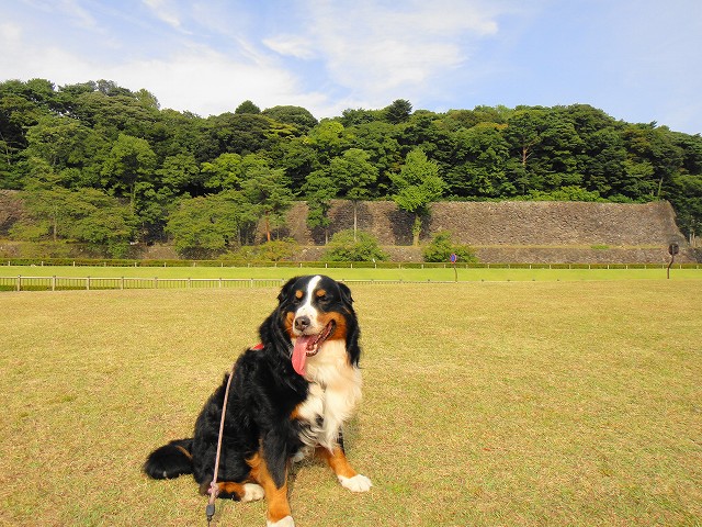 DSC005770 (1)