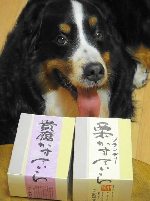 DSC005786 (1)