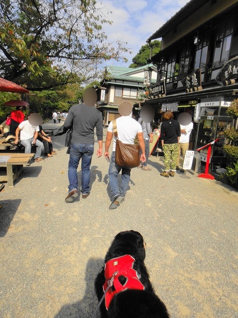 DSC005757 (1)