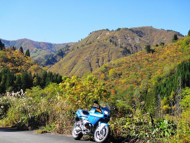 DSC005922 (1)