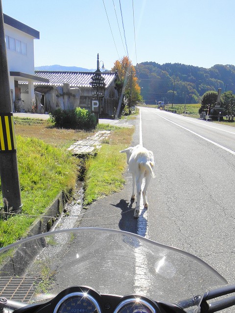 DSC005914 (1)