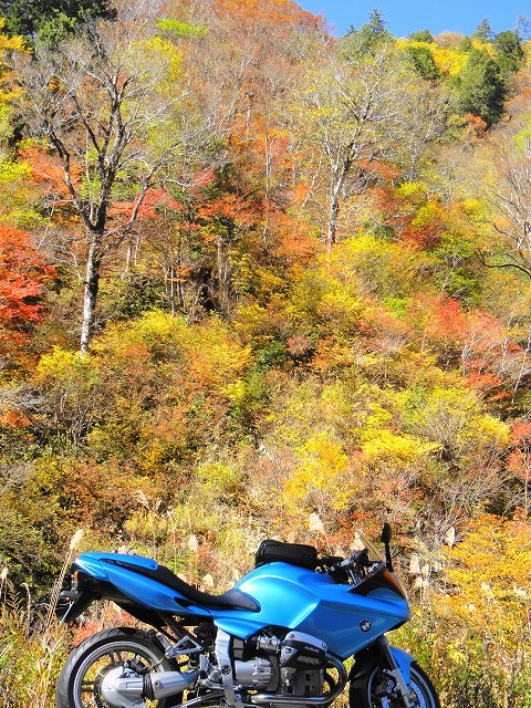 DSC005929 (1)