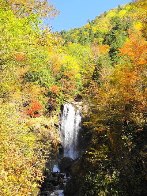 DSC005927 (1)