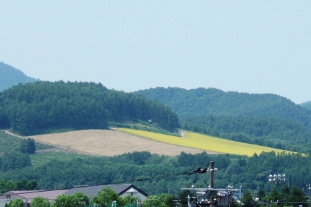 富良野市清水山
