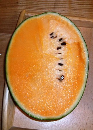 オレンジ色のスイカ