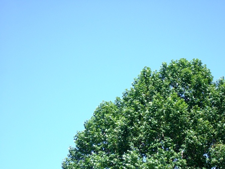 青空