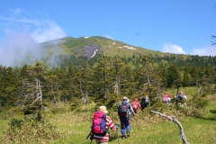 20130529114203154_40026.jpg