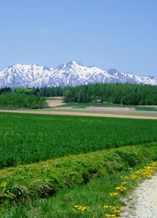 東山風景イメージ1
