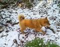 20121201-1.jpg