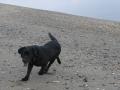 DSC01488.jpg