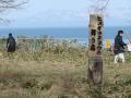 DSC02057.jpg