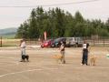 DSC02145.jpg