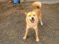 DSC02146.jpg