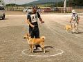 DSC02151.jpg