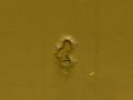 DSC02155.jpg