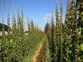 DSC02169.jpg