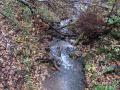 DSC02200.jpg