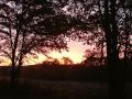 DSC02204.jpg