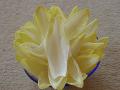 DSC02258.jpg