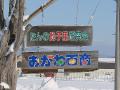 DSC02263.jpg