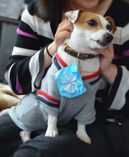 DSC_0023加工