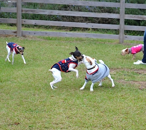DSC_0050_2014110418234807f.jpg
