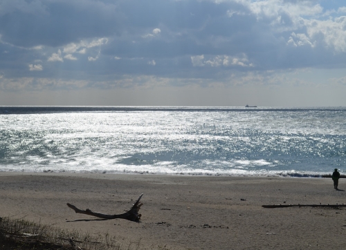 DSC_0287.jpg