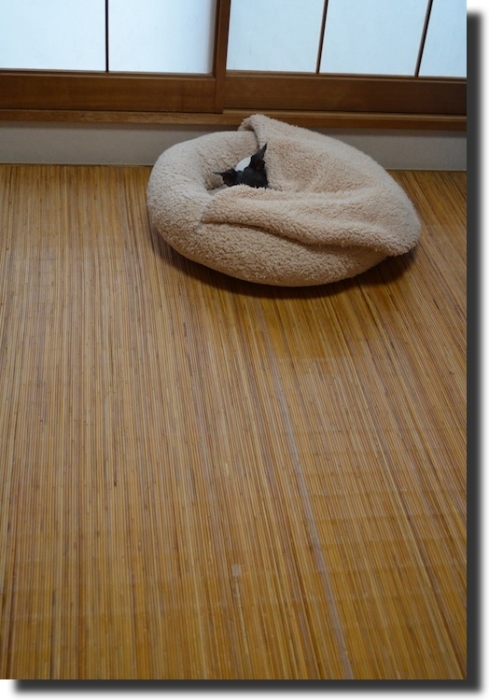 cmanjp_20141022125147.jpeg