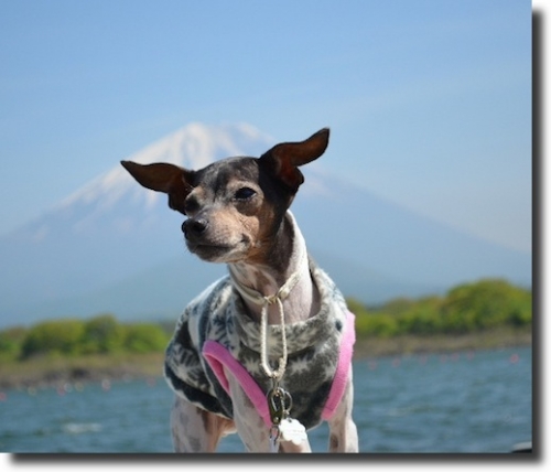 cmanjp_20141029141324.jpeg